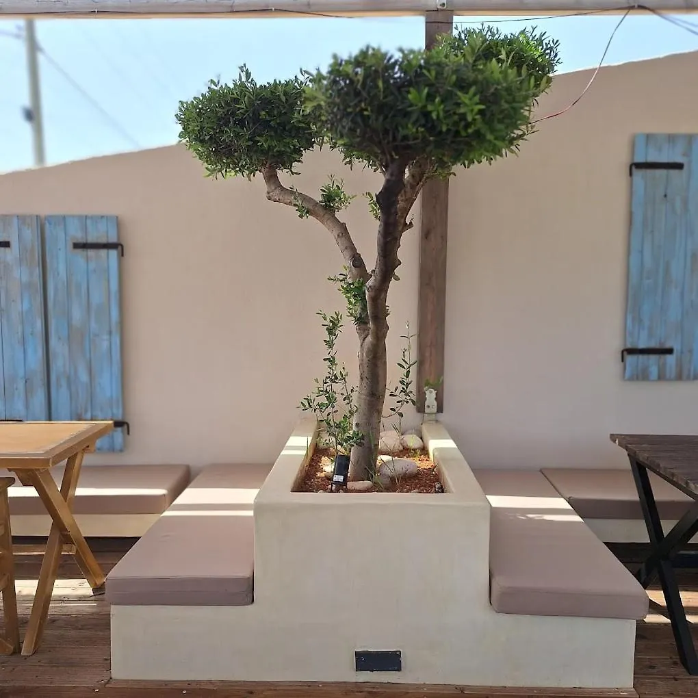 Holiday home Tonea'S Houses Himare